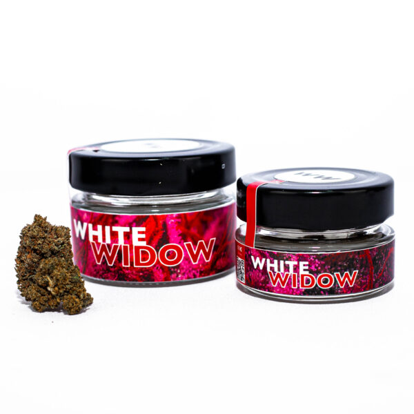 White Widow